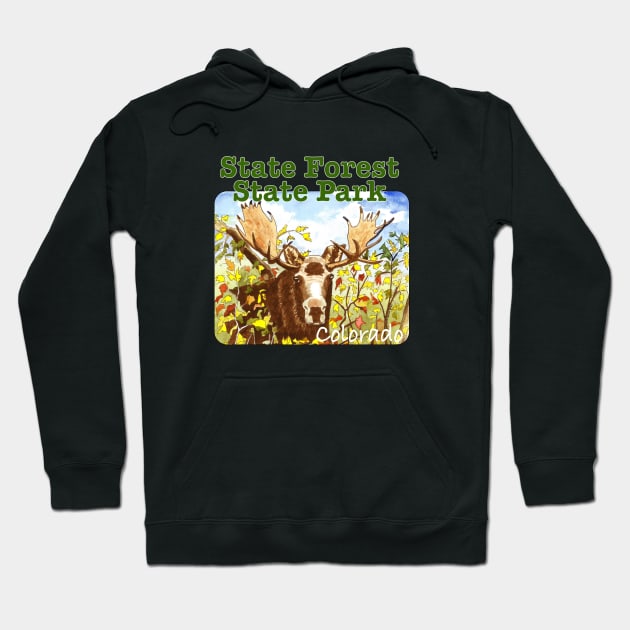 State Forest State Park, Colorado Hoodie by MMcBuck